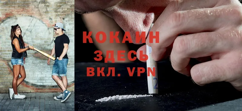 Cocaine FishScale  магазин продажи   Нелидово 